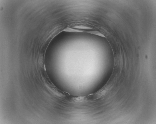 X0000062910092200602031908