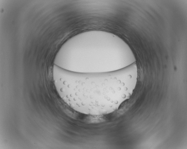 X0000062910093200602031908