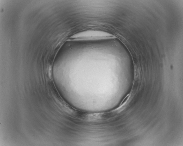 X0000062910094200602031908