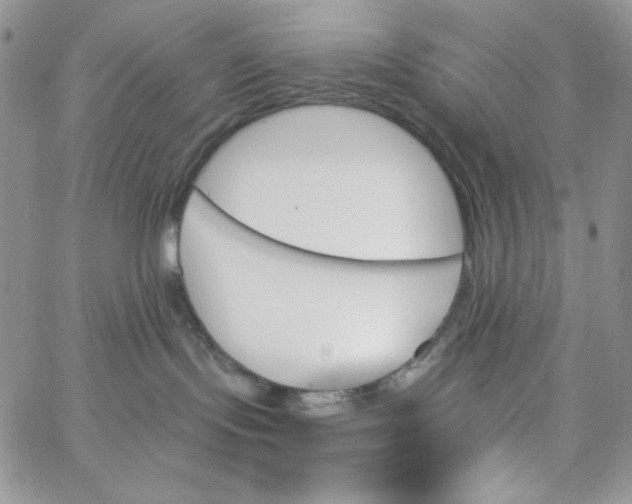 X0000062910095200602031908