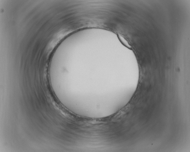 X0000062910098200602031907