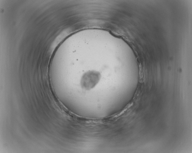 X0000062910099200602031907