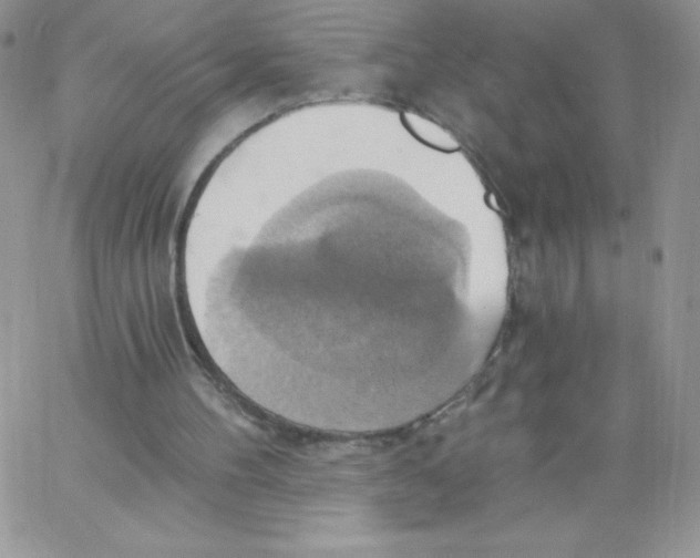 X0000062910100200602031907