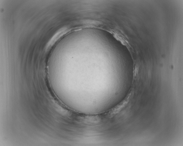 X0000062910101200602031907