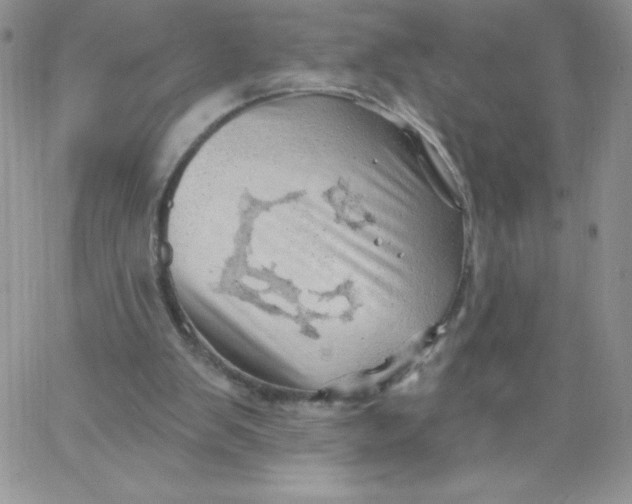 X0000062910103200602031907