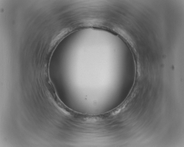 X0000062910105200602031907