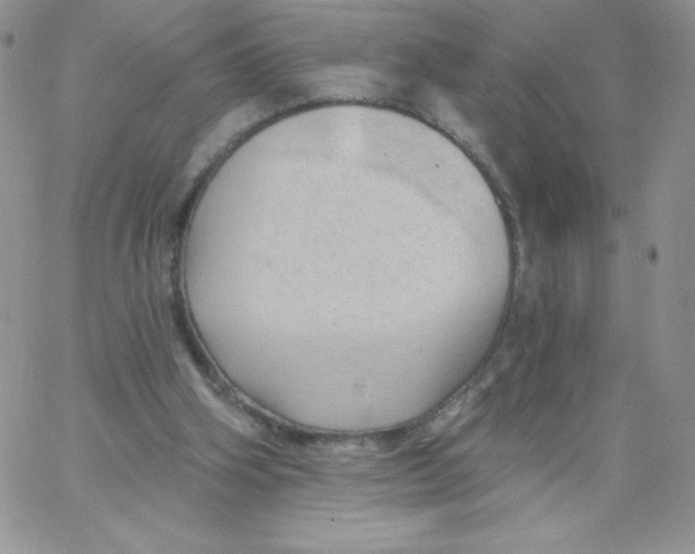 X0000062910106200602031907