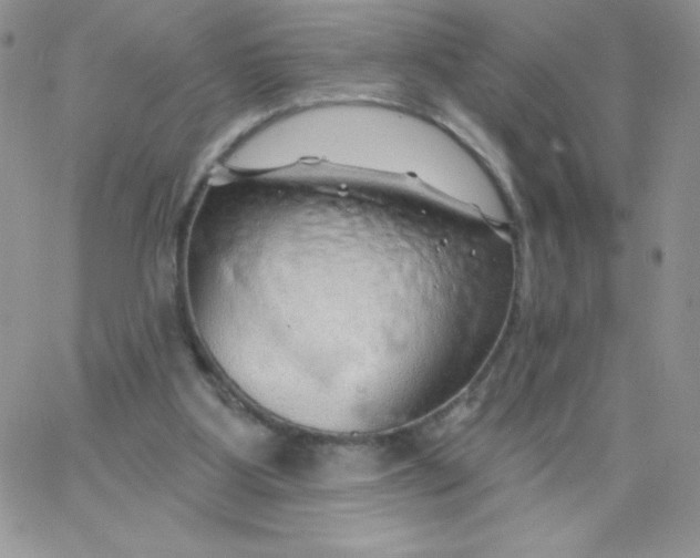 X0000062910107200602031907