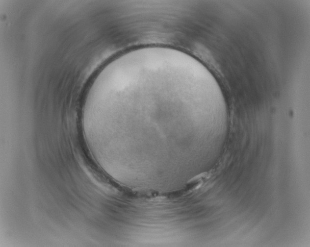 X0000062910108200602031907