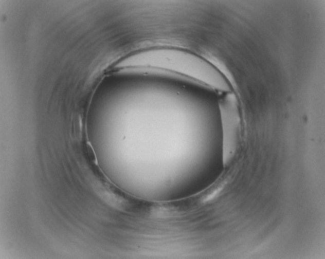 X0000062910109200602031907