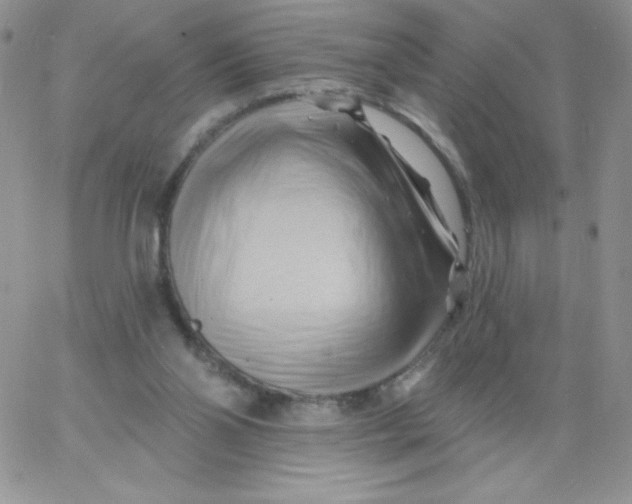 X0000062910110200602031907