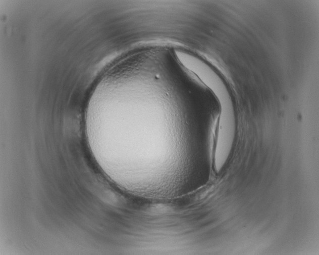 X0000062910111200602031907