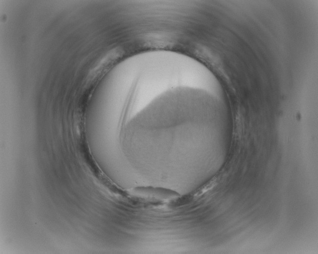 X0000062910114200602031907