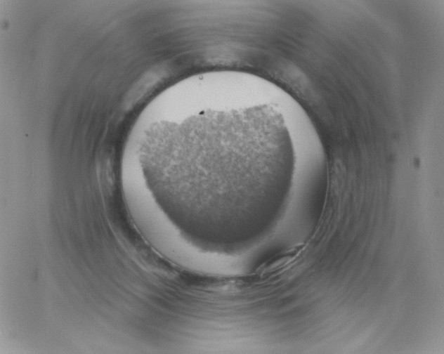 X0000062910116200602031907