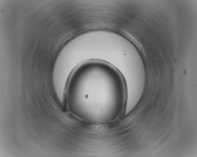 X0000062910117200602031907