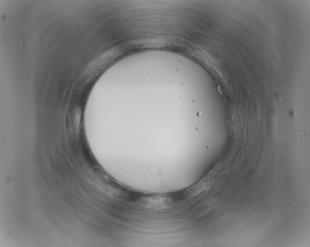 X0000062910118200602031907