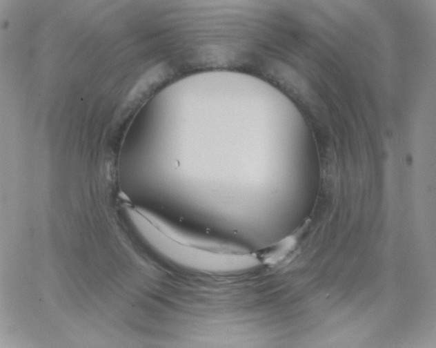 X0000062910119200602031907