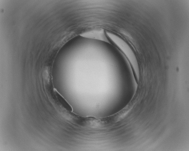 X0000062910121200602031906