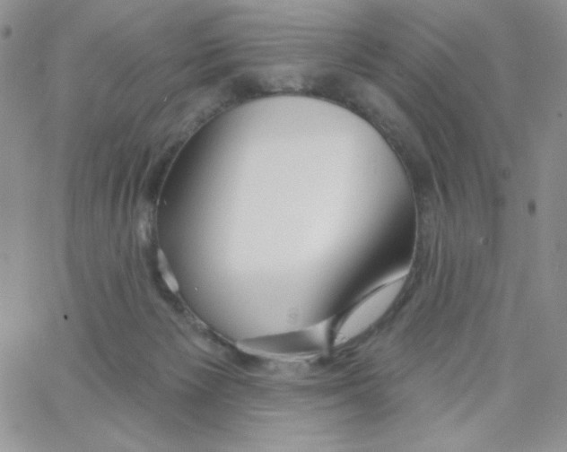 X0000062910125200602031906