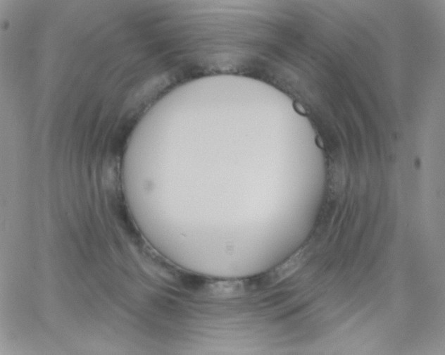 X0000062910126200602031906