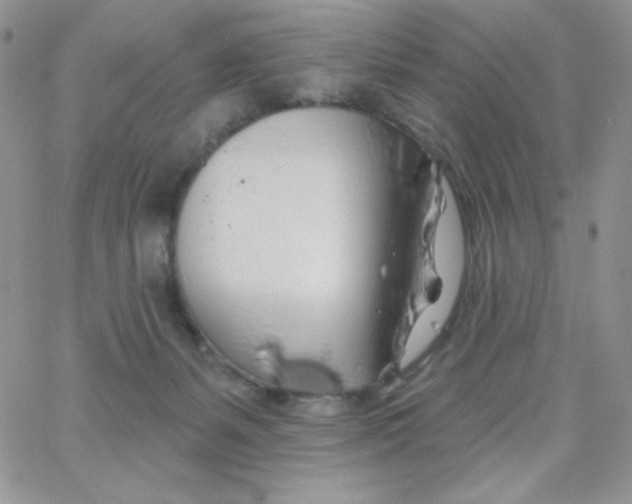 X0000062910127200602031906