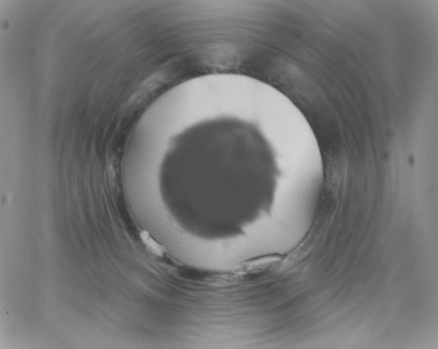 X0000062910128200602031906