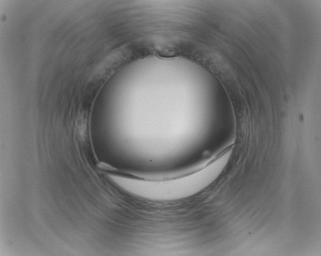 X0000062910129200602031906