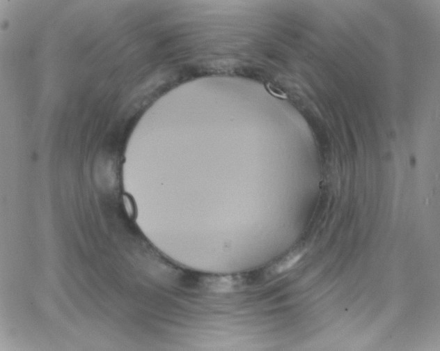 X0000062910131200602031906