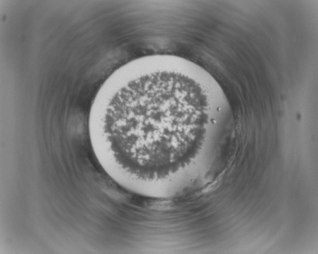 X0000062910132200602031906