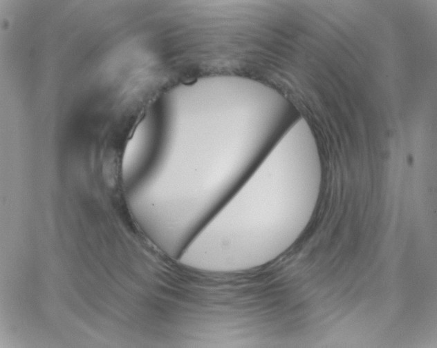 X0000062910133200602031906