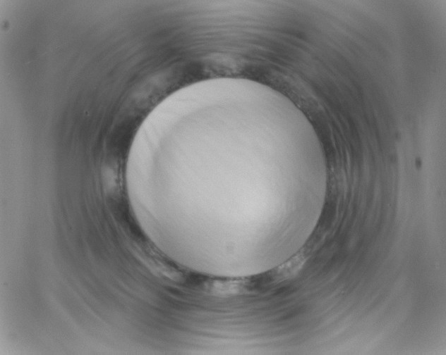 X0000062910134200602031906