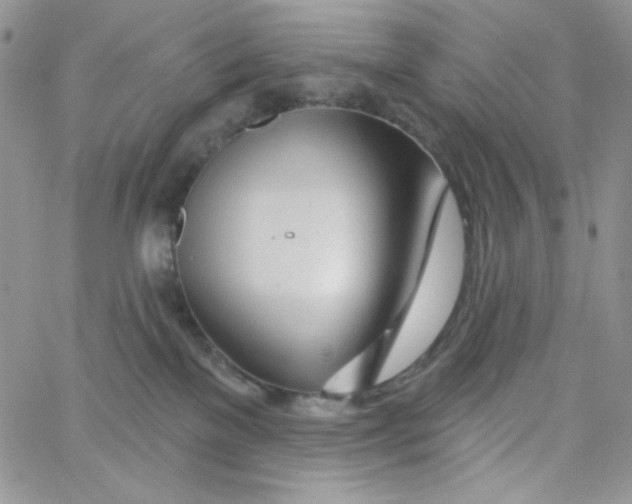 X0000062910137200602031906