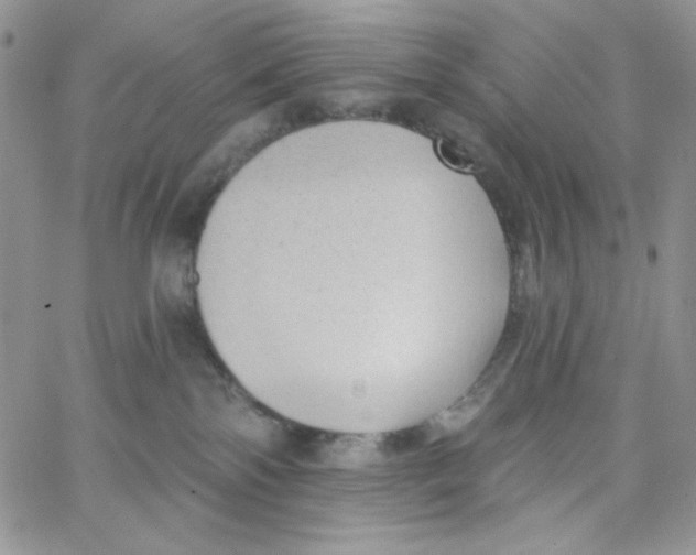 X0000062910138200602031906