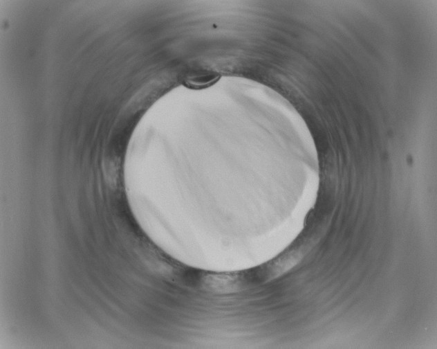 X0000062910139200602031906