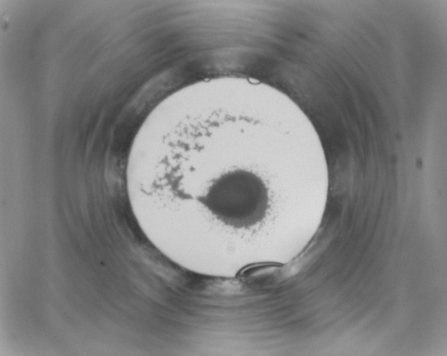 X0000062910140200602031906