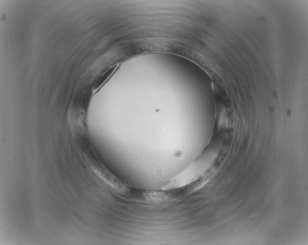 X0000062910141200602031906