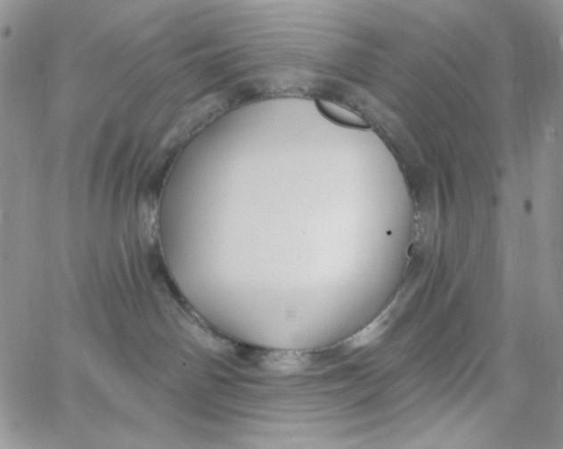 X0000062910142200602031906