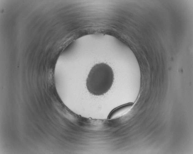 X0000062910144200602031906