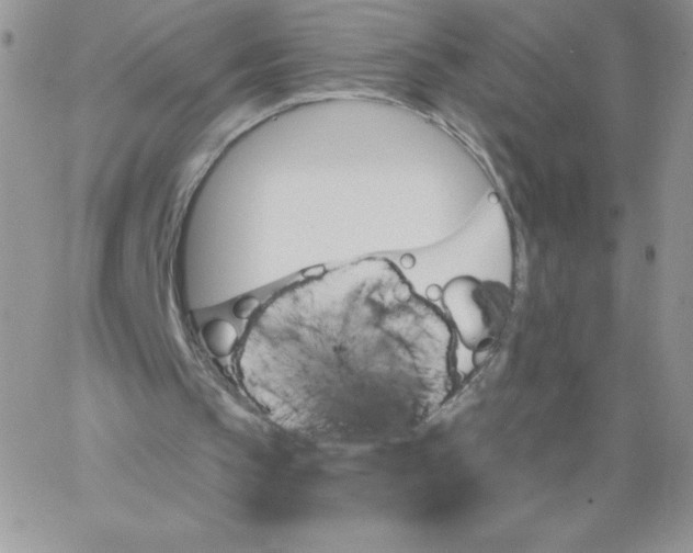 X0000062910145200602031905