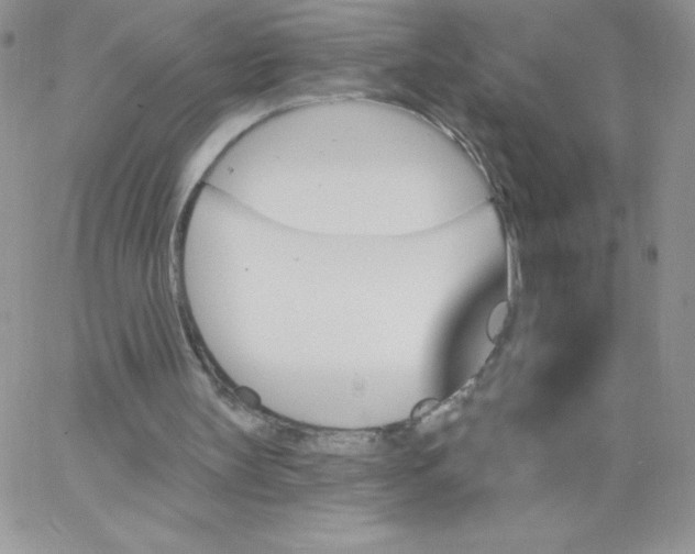 X0000062910147200602031905