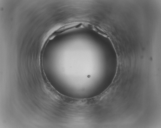 X0000062910148200602031905