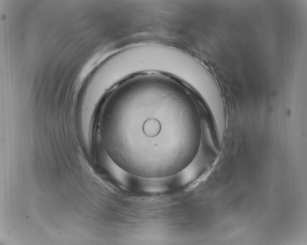 X0000062910150200602031905