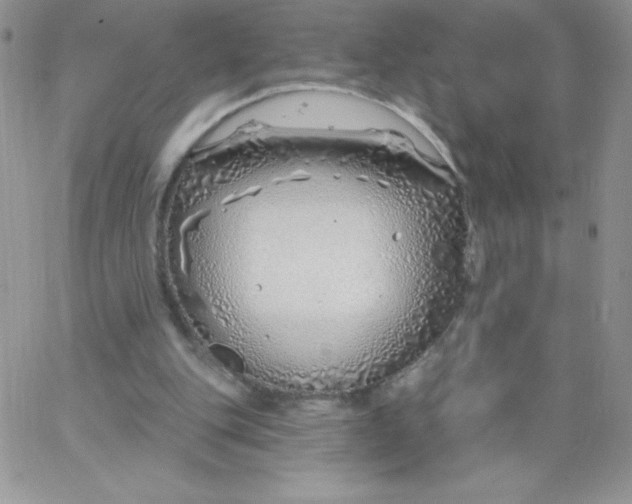 X0000062910151200602031905