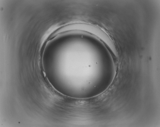 X0000062910152200602031905