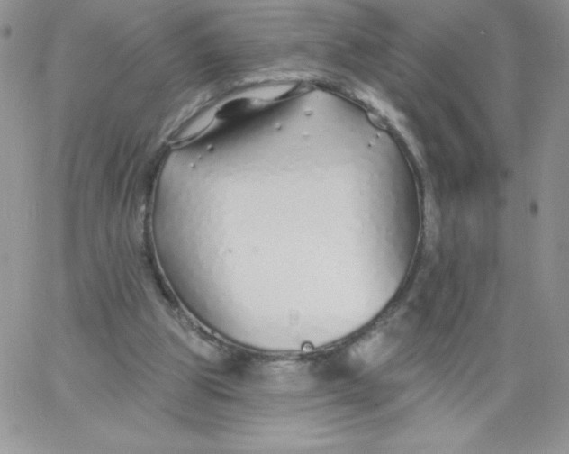 X0000062910153200602031905