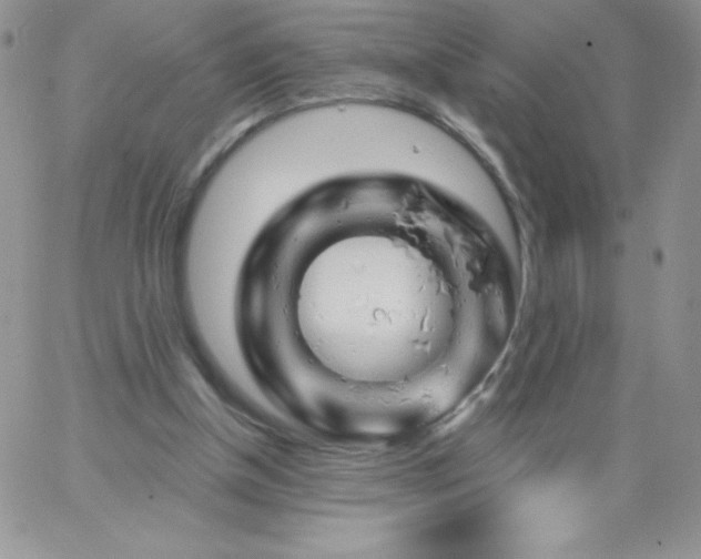 X0000062910154200602031905