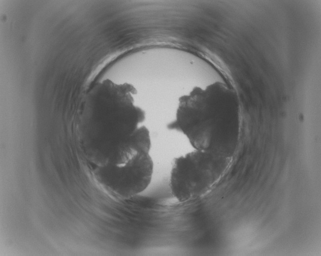 X0000062910155200602031905