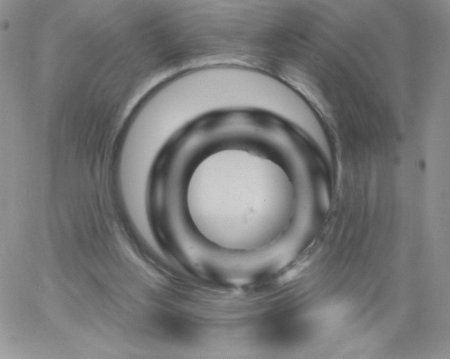 X0000062910156200602031906