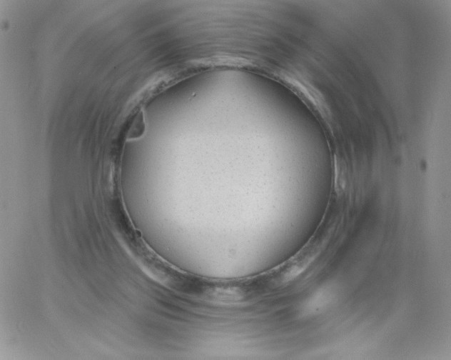 X0000062910157200602031906