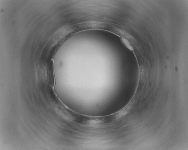 X0000062910158200602031906